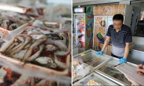 Frog and other illegally imported food from Vietnam found in unlicensed cold store in Sembawang