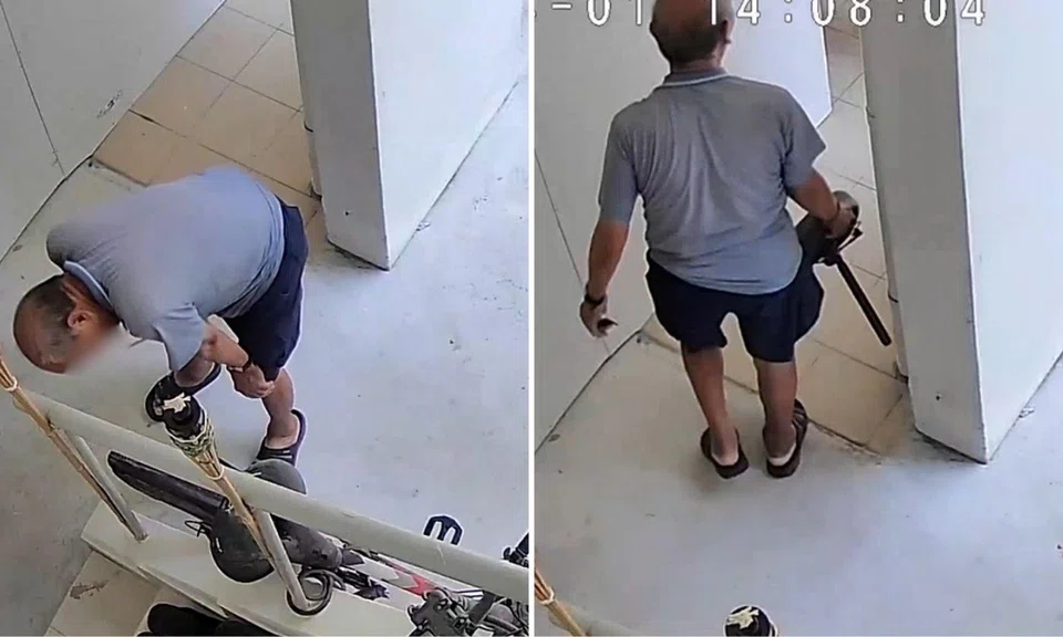 CCTV footage allegedly showed an elderly man stealing a bicycle saddle from a bike parked outside a residential unit in Ubi on April 1.
