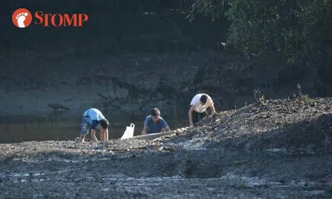 Stomper catches 'poachers' at Sungei Buloh Wetland Reserve and alerts NParks