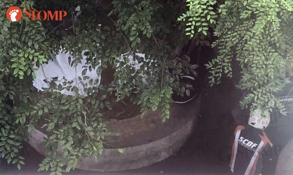 56-year-old man found dead on bench outside Jurong Point