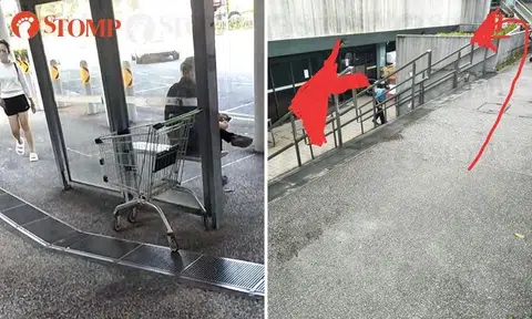 Pissed-off shopper urges everyone to return supermarket trolleys properly