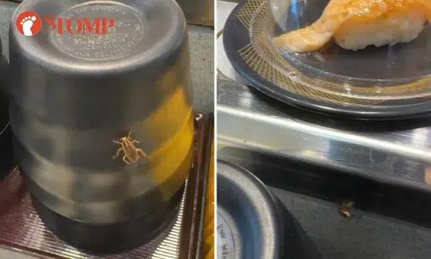 Stomper Chris shared a video of the insect crawling on and around tableware beside the food conveyor belt on Aug 13 at 12.56pm.