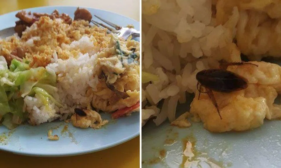 Diner shares his meal with unwanted pest at Bukit Purmei Coffeeshop