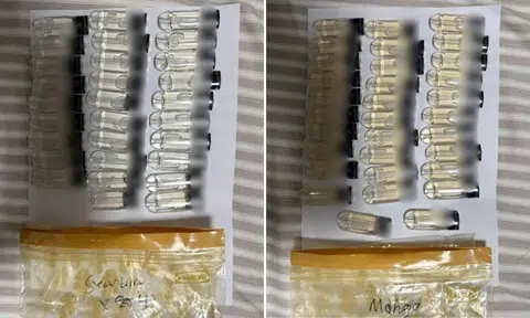 Goh Shao Zhi Cornelius is the second 18-year-old to be charged by HSA for alleged Kpod trafficking. 