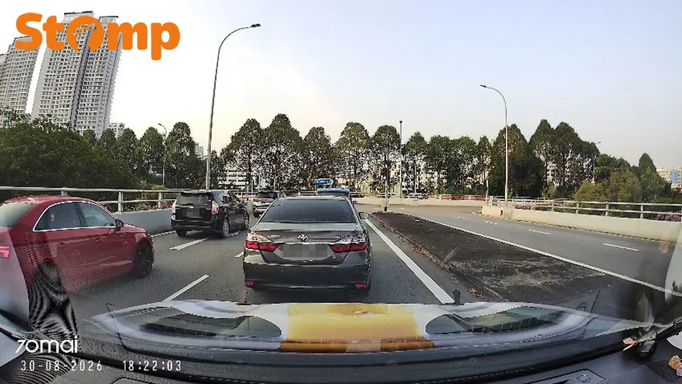 Dog in front seat at Toh Guan Flyover