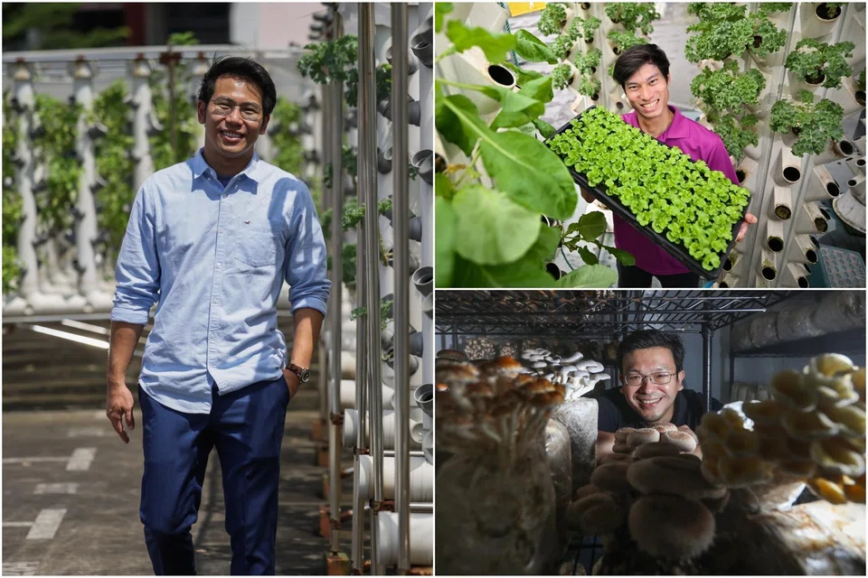 (Clockwise from left) Mr Webster Tham, co-founder of Tomato Town's farm; Mr Leonard Teo, founder of Straits Agriculture; and Mr John Ong, founder of Spore Gardens.