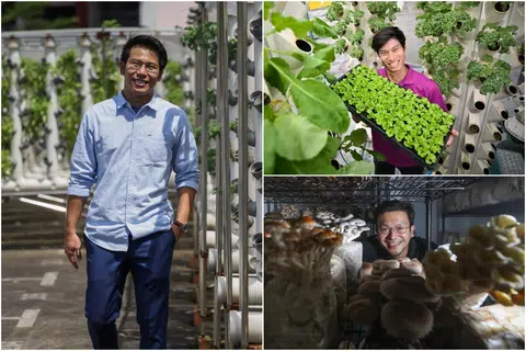 Young and rooted: Meet S'pore's first-gen farmers who are changing the agri game