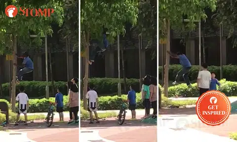 Kids overjoyed by man climbing tree to help them retrieve ball in Tampines