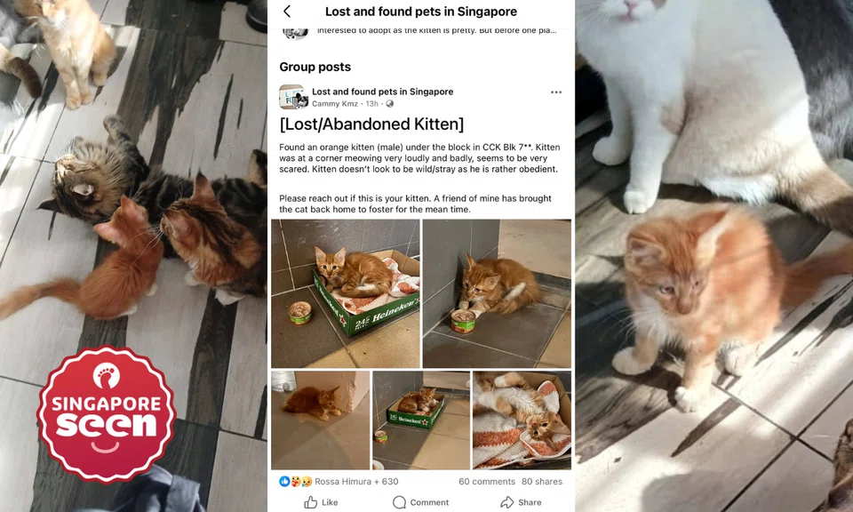 "I just want my oyen back. Thats all," pleads Facebook user Emellia Lullaby.