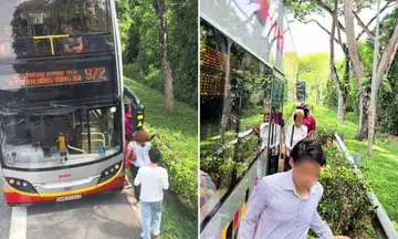 smrt bus breaks down after picking up stranded passengers along pie