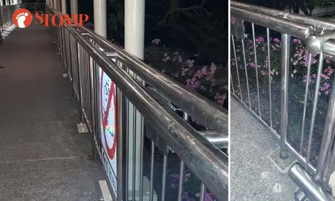 What is second handrail on pedestrian bridge for?