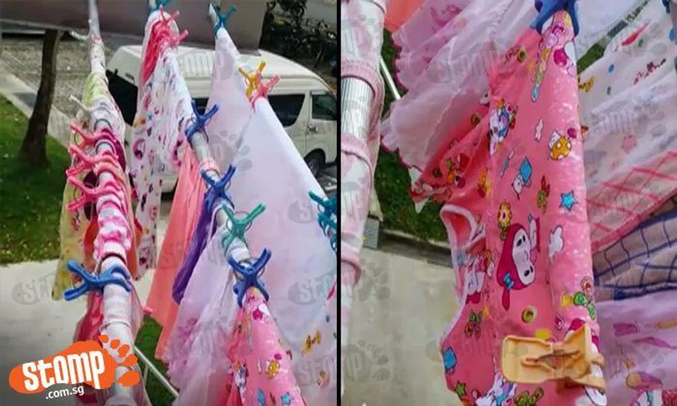 Neighbour from hell keeps giving family problems -- and even pours bleach on their laundry