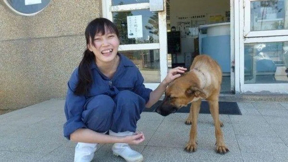 Taiwan vet commits suicide after criticisms by animal activists for having to euthanise too many dogs