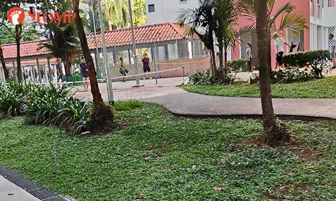 Stomper annoyed at senior pickleball players for blocking public pathway with court nets