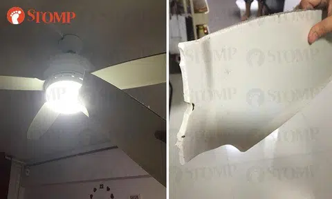 Kids nearly hit by ceiling fan blade that came apart and "went hurtling" towards wall