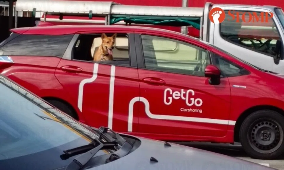 Stomper Feeza shared photos of the animal in a red Honda car parked near the Food Master @ Jalan Bahar food court on Jan 13.