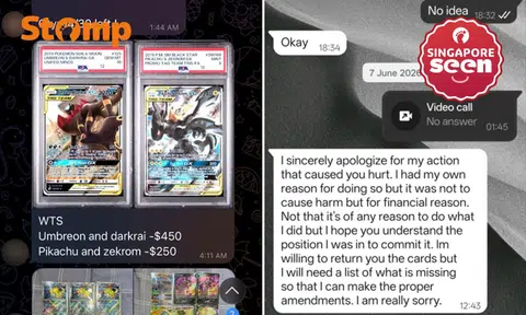 Pokemon cards, card theft, family dispute
