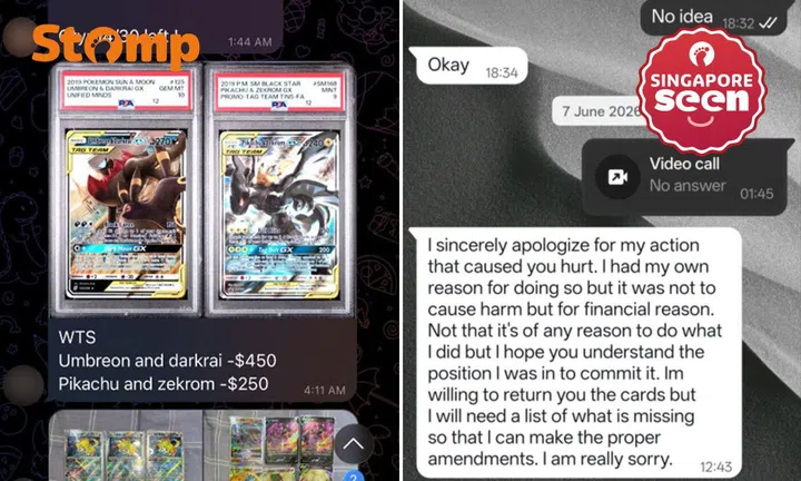 Pokemon cards, card theft, family dispute