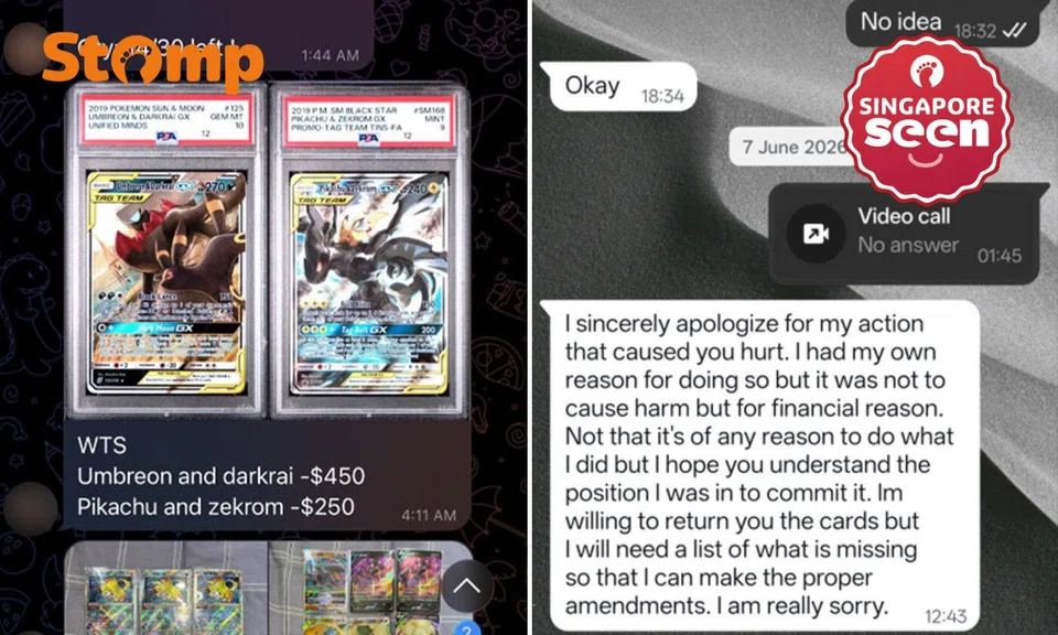 Pokemon cards, card theft, family dispute