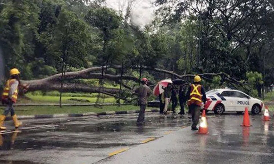 Photo: Shin Min Daily News. 