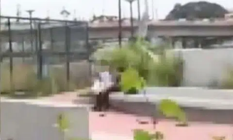 viral video, Philippines, couple, obscene act