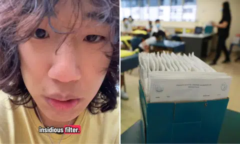 TikToker calls PSLE the 'worst thing', labels S'pore education system an 'insidious filter'
