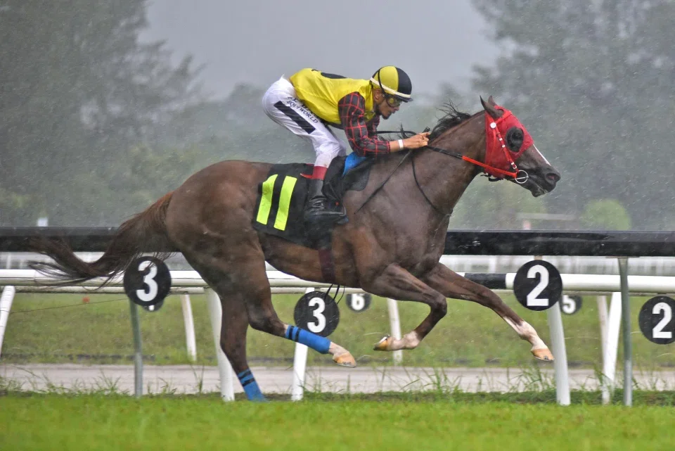 The Jerome Tan-trained Baby Twins (Shafiq Rizuan) kicks clear en route to a facile victory in the downpour in the Class 4B race over 1,150m at Sungai Besi on Feb 16.