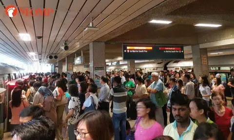 Another day of train delays: Downtown Line, North-South Line hit by signalling fault during Friday rush hour