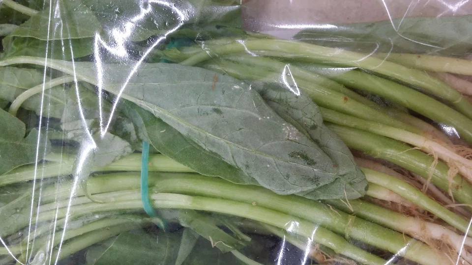 Is it safe to eat spinach leaves which have white spots on them?