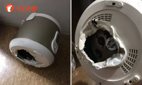 Stomper warns about rice cookers after his melted: 'We smelled something burning'