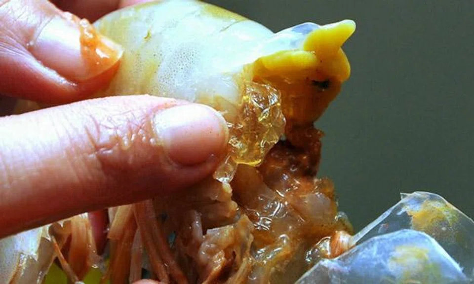 The latest China food scandal will leave you bewildered: Shrimp pumped with gelatin