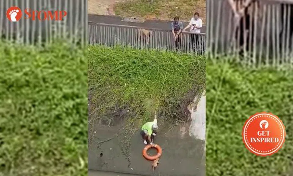Cyclists stop to save drowning cat in canal at Pasir Ris St 11