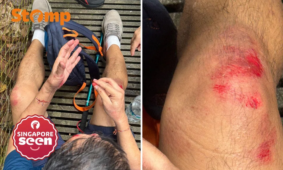 elderly man falls at Drongo Trail Windsor Nature Park