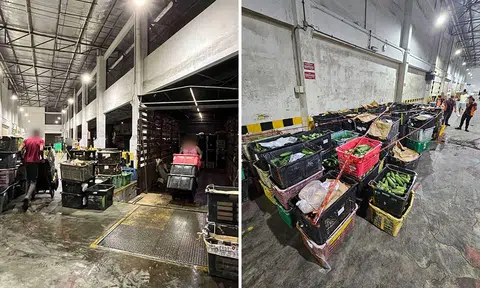 Truck checked at Woodlands Checkpoint found carrying 3 tonnes of illegally imported M'sia fresh produce