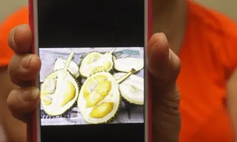 Woman pays salesman $109 for 7.8kg Mao Shan Wang, gets 5kg of 'impostor' durians instead