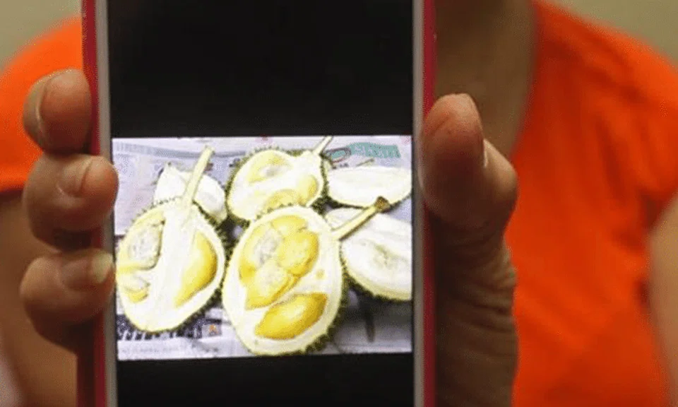 Woman pays salesman $109 for 7.8kg Mao Shan Wang, gets 5kg of 'impostor' durians instead