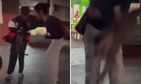 Youth makes cat do somersault before dropping it: Is this animal abuse?