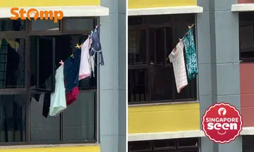 Aunty hangs bamboo pole from Woodlands bedroom window despite multiple inspections and notices