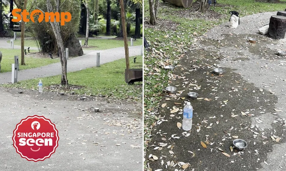 Dog bowls and bottles left lying around at Gardens by the Bay
