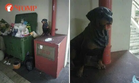 A statue of a rottweiler was discarded next to a dumpster in the void deck.