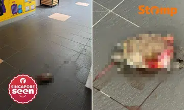 Stomper Daph had been returning her parcel when she spotted the shocking sight. 