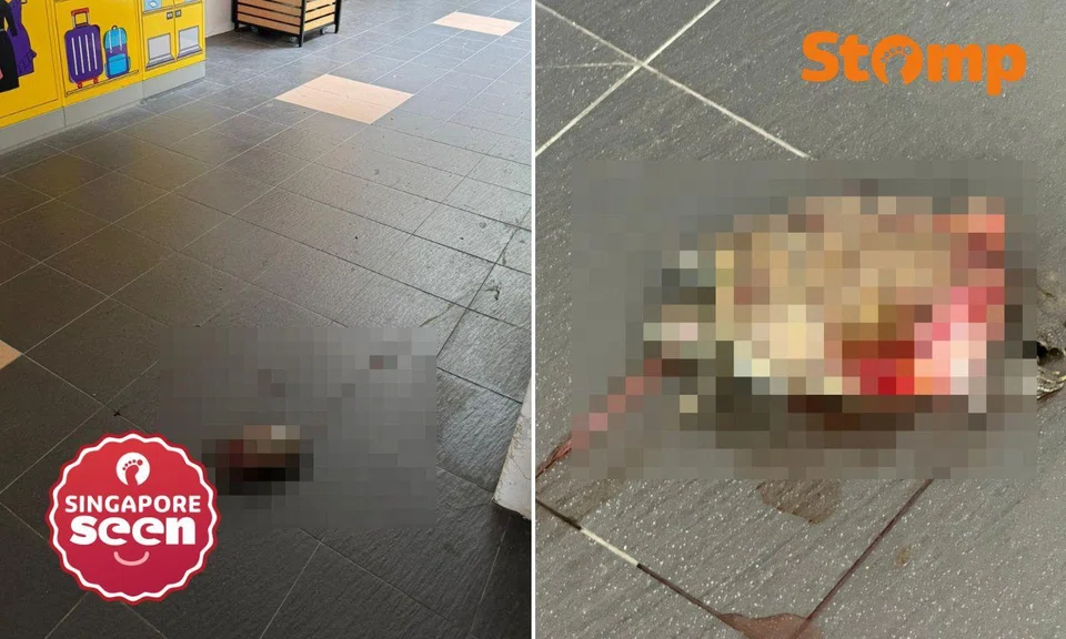 Stomper Daph had been returning her parcel when she spotted the shocking sight. 