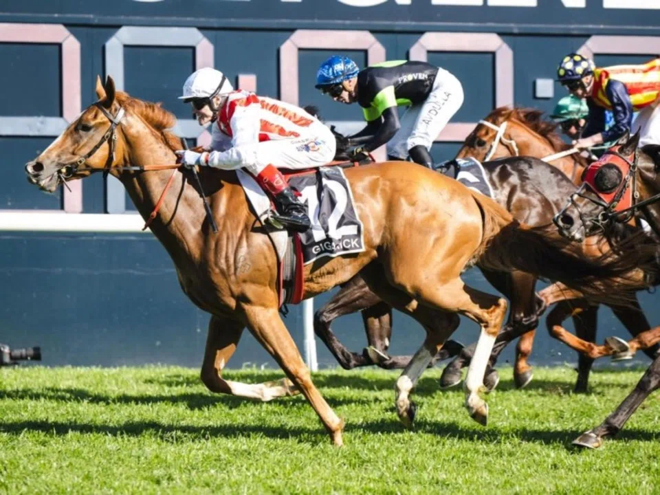 Giga Kick resumes in Adelaide. 
