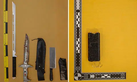 Man attacked and injured TP officers with stun device while evading arrest, arrested for various offences