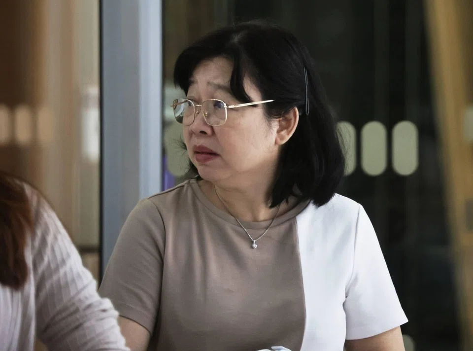 Singaporean Zin Nwe Nyunt, 58, was sentenced to one year and six months’ jail on July 14.