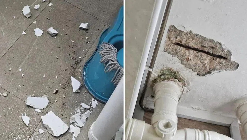 The spalling concrete hit the floor and scattered, leaving the steel bars in the ceiling exposed.