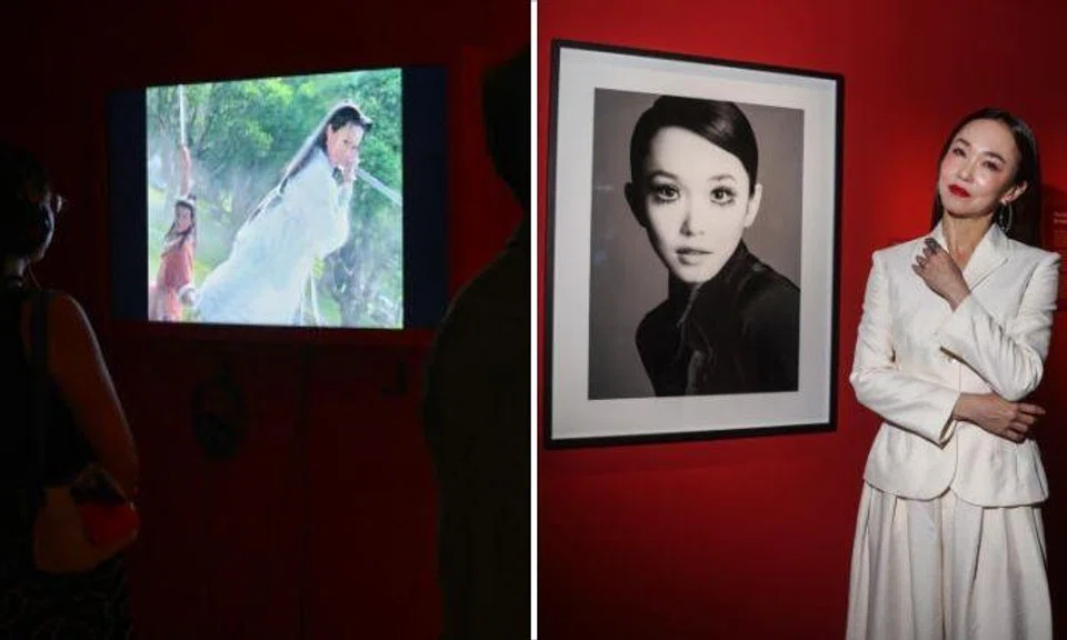 Fann Wong is featured in a new women-focused exhibition, Goddess: Brave. Bold. Beautiful., opening at the ArtScience Museum on April 6. Photos: The Straits Times, Lianhe Zaobao
