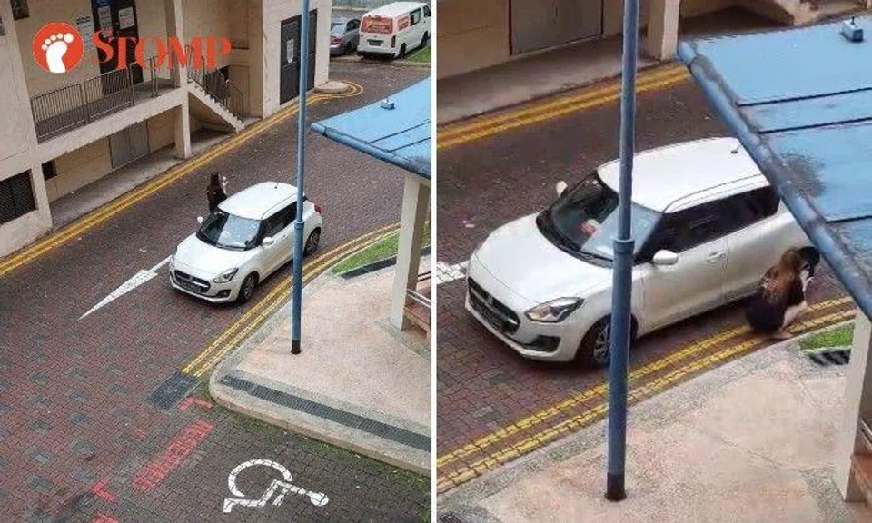 Stomper Stella shared videos of the woman in a black top and black shorts standing and squatting next to a white Suzuki while smoking a cigarette.