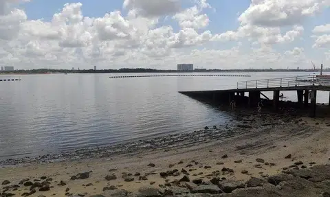 Beachgoers are advised against swimming or engaging in activities where the whole body or face comes into frequent contact with the water at Sembawang Park Beach.