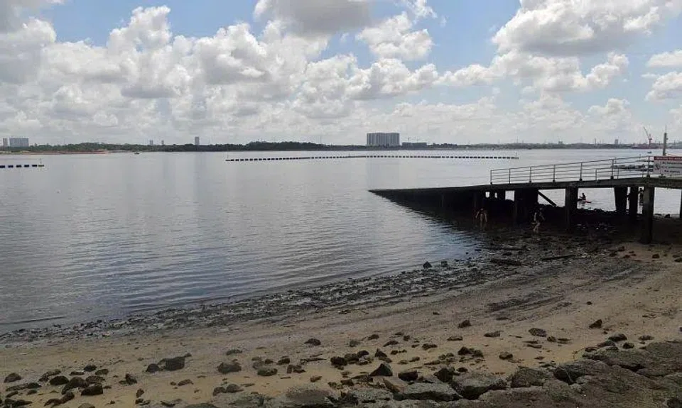Beachgoers are advised against swimming or engaging in activities where the whole body or face comes into frequent contact with the water at Sembawang Park Beach.
